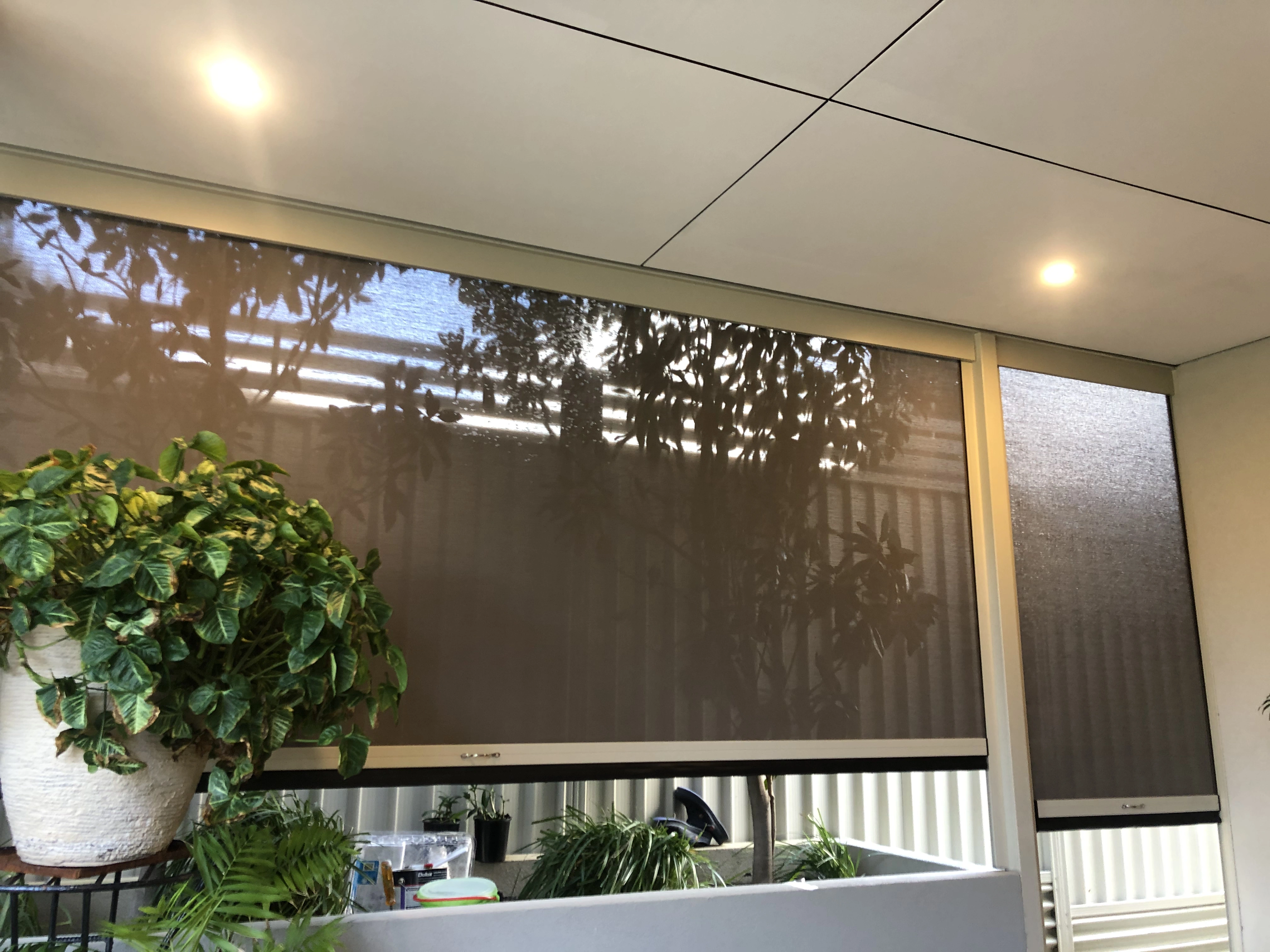 Melville Blinds